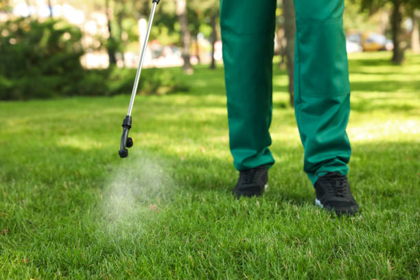 Best Pest Removal Services  in Boston Heights, OH