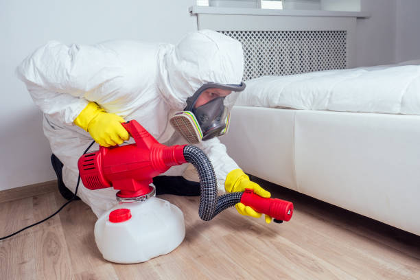 Best Pest Inspection Near Me  in Boston Heights, OH