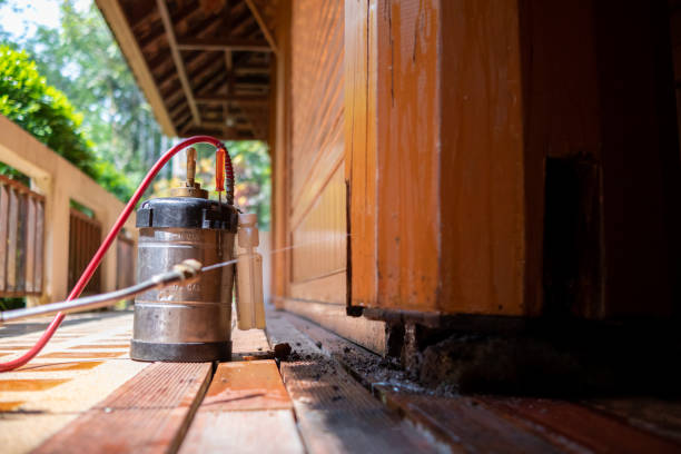 Best Best Pest Control Companies  in Boston Heights, OH
