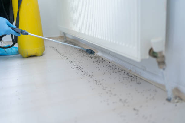 Best Pest Control Near Me  in Boston Heights, OH