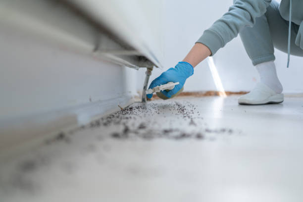 Reliable Boston Heights, OH Pest Control Solutions