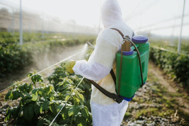 Best Cockroach Control Services  in Boston Heights, OH
